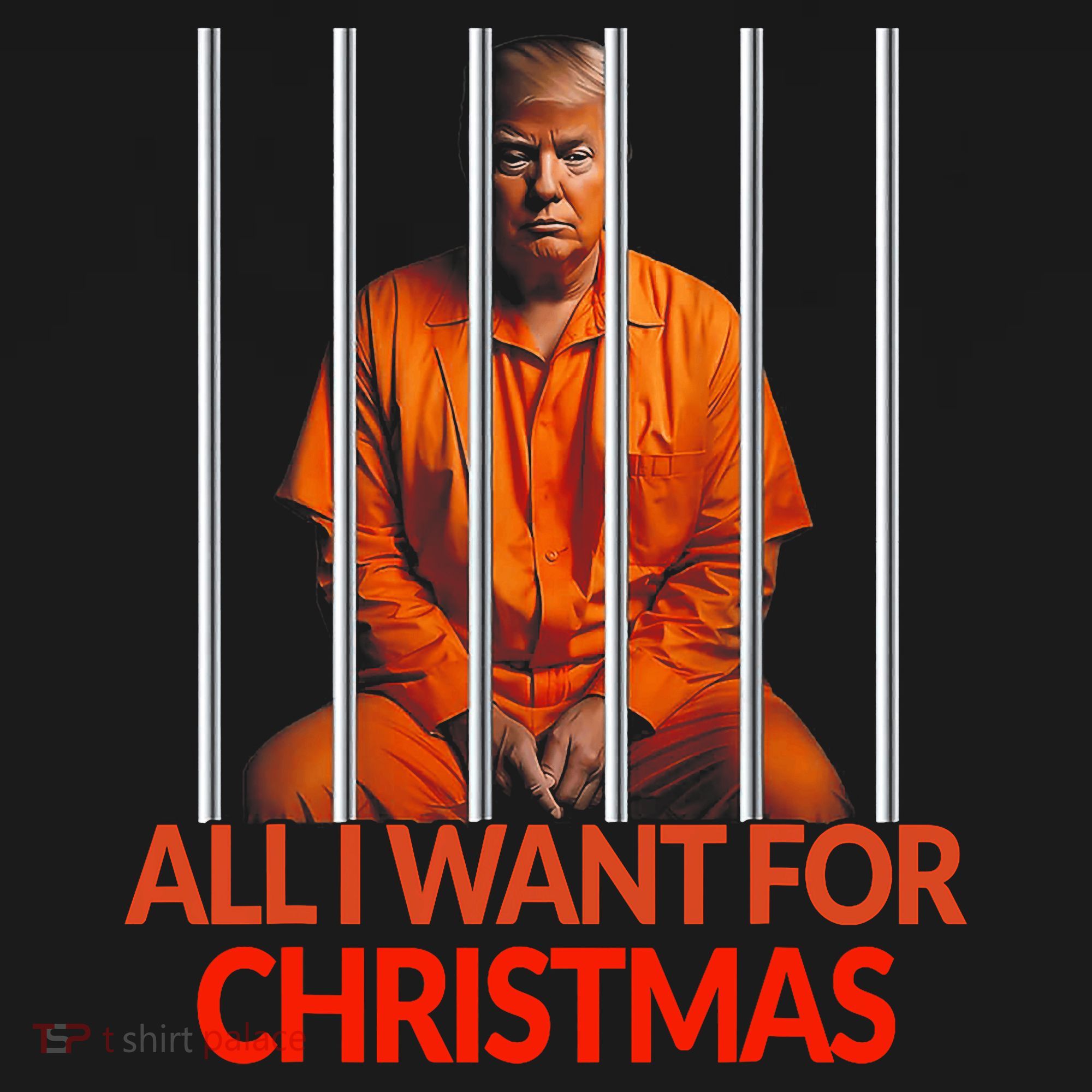 Trump All I Want For Christmas Prison Women's Hoodie