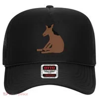 This Actually Is My First Rodeo Hat thumb 0