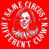 Trump Anti Kamala Harris Same Circus Different Clown Funny Gift Santa Hat thumb 1