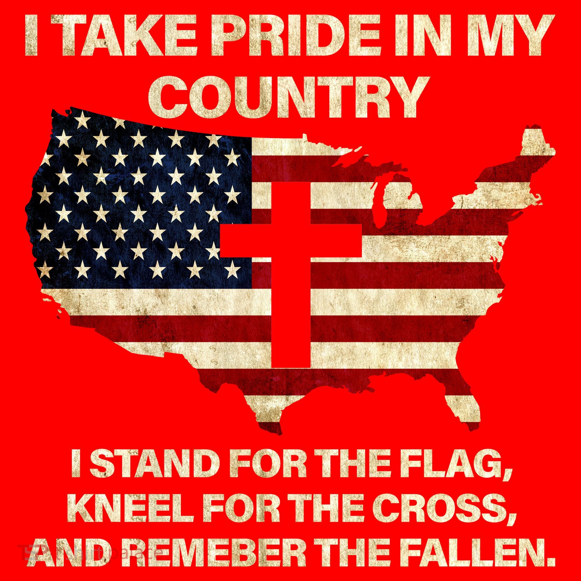 Take Pride In My Country Santa Hat