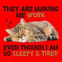 The Are Making Me Work Even Though I Am So Sleepy And Tired Cute Cat Santa Hat thumb 1