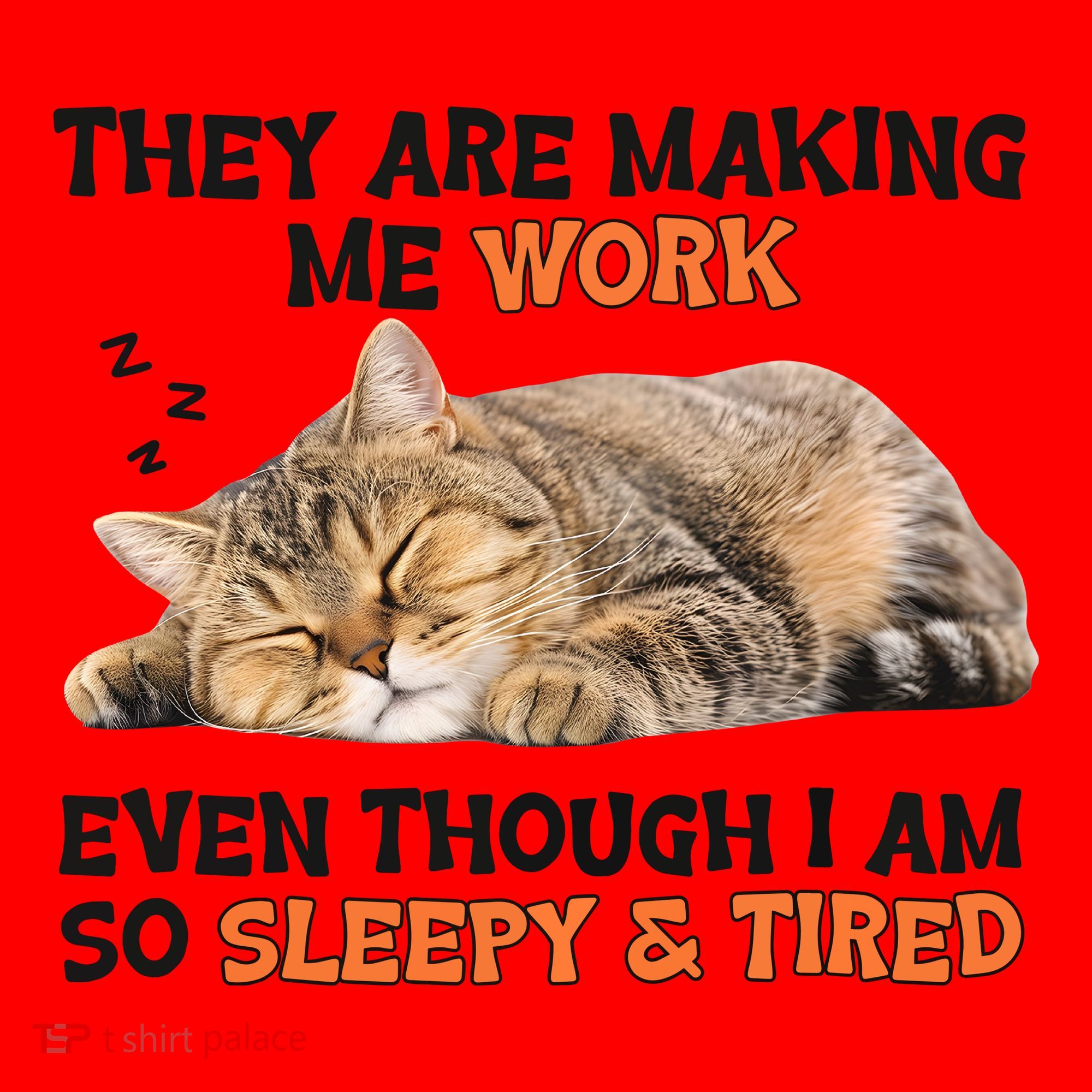 The Are Making Me Work Even Though I Am So Sleepy And Tired Cute Cat Santa Hat