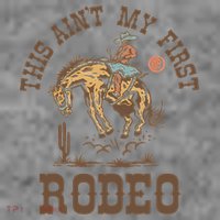 This Ain't My First Rodeo Western Country Cowboy Birthday Toddler Hoodie thumb 2