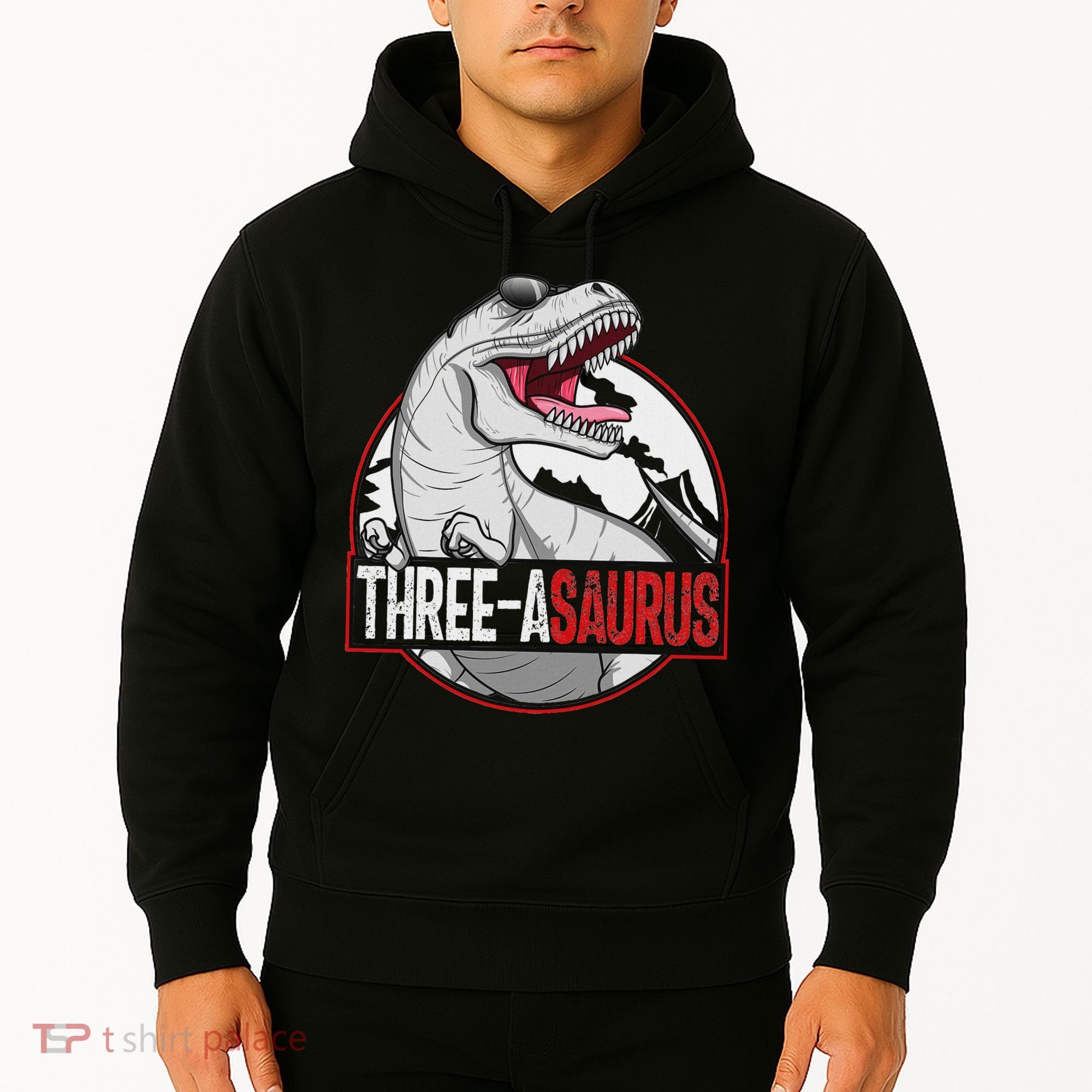 Three Asaurus Matching Family Dinosaur 3rd Birthday Hoodie