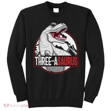 Three Asaurus Matching Family Dinosaur 3rd Birthday Sweatshirt