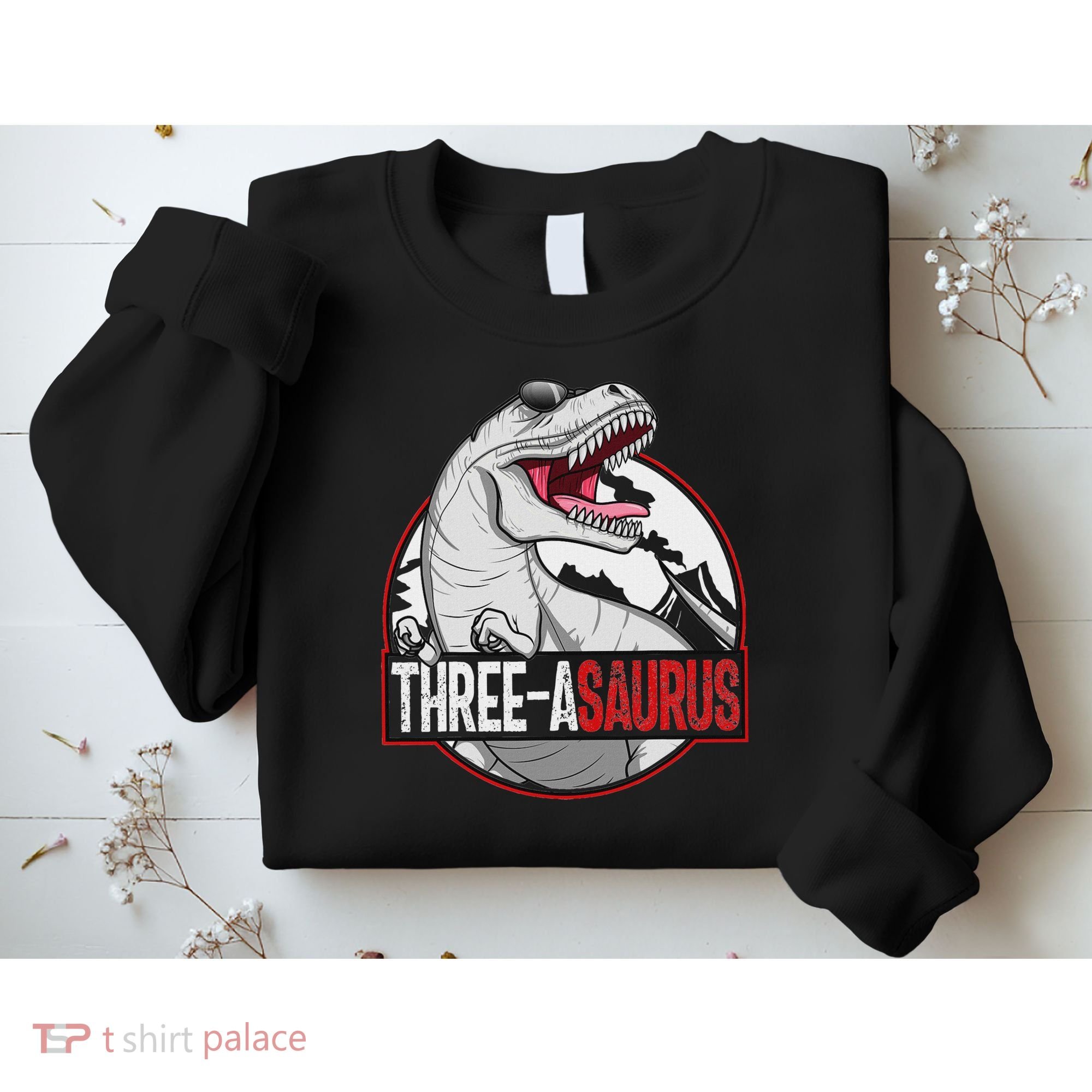 Three Asaurus Matching Family Dinosaur 3rd Birthday Sweatshirt
