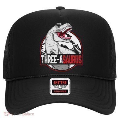 Three Asaurus Matching Family Dinosaur 3rd Birthday Hat