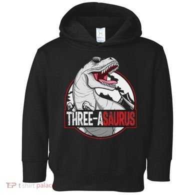 Three Asaurus Matching Family Dinosaur 3rd Birthday Toddler Hoodie