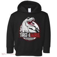 Three Asaurus Matching Family Dinosaur 3rd Birthday Toddler Hoodie thumb 0