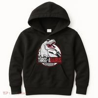 Three Asaurus Matching Family Dinosaur 3rd Birthday Kids Hoodie thumb 0