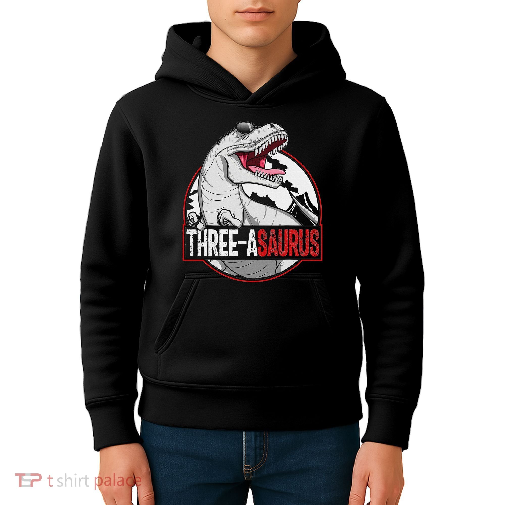 Three Asaurus Matching Family Dinosaur 3rd Birthday Kids Hoodie