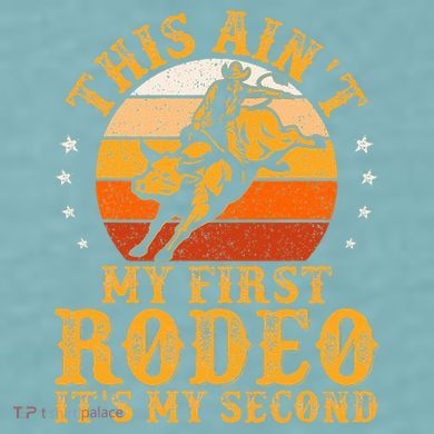 This AinT My First Rodeo ItS My Second Bull Riding Sueded Cloud Jersey T-Shirt