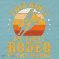 This AinT My First Rodeo ItS My Second Bull Riding Sueded Cloud Jersey T-Shirt thumb 2