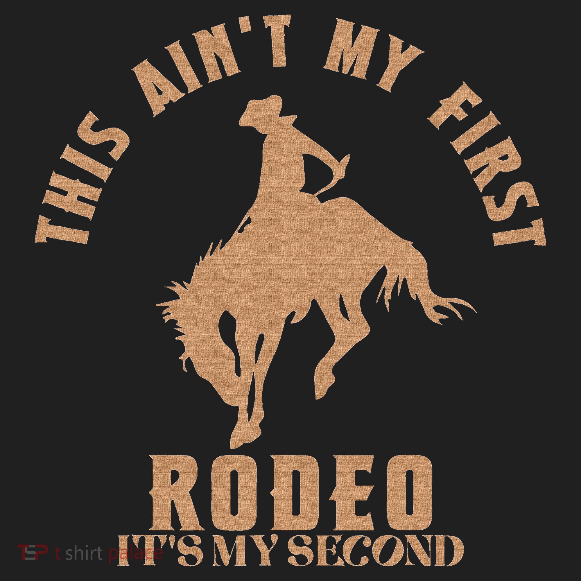 This AinT My First Rodeo ItS My Second Birthday Cowboy Tumbler