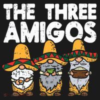 Three Amigos Mexican Gnomes Cute Cinco De Mayo Fiesta Garden Women's Hoodie thumb 2