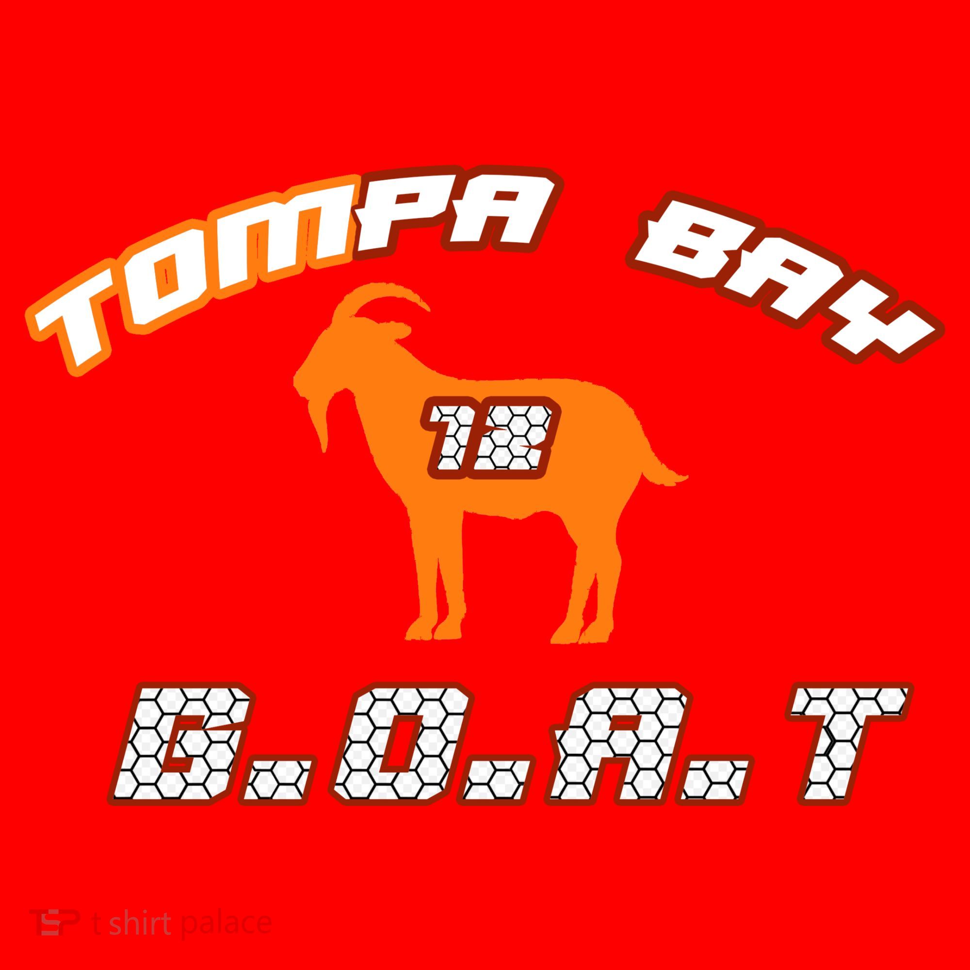 Tamp Bay Football GOAT Brady 18 Santa Hat