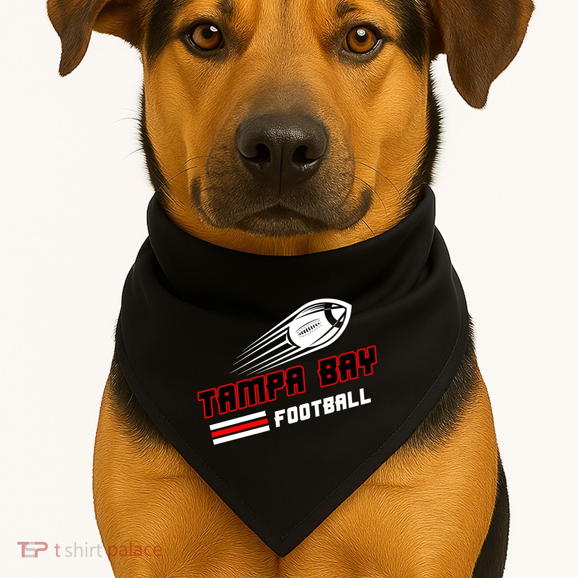 Tampa Bay Football Fan USA-Made Doggie Bandana