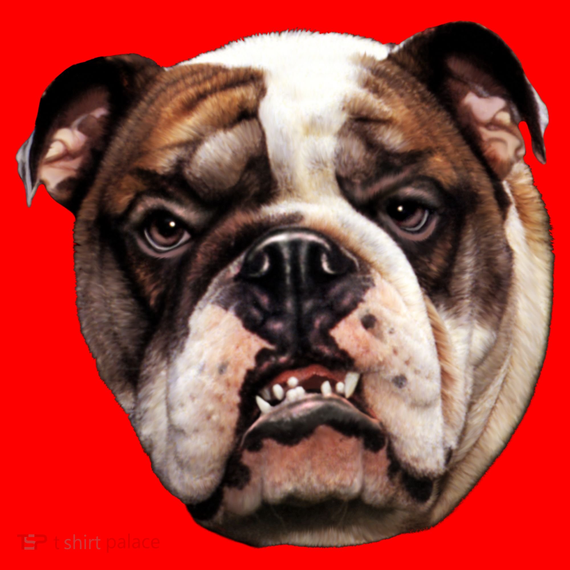 Tan Bulldog Santa Hat