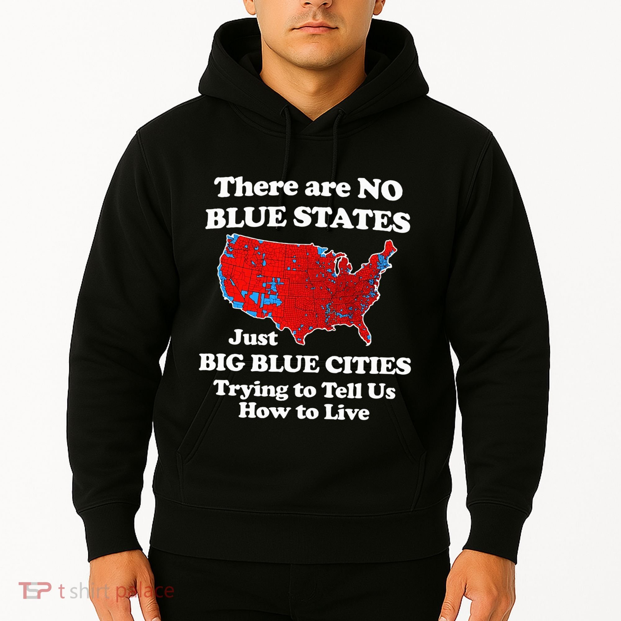 There Are No Blue States Only Big Blue Cities Hoodie