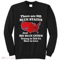 There Are No Blue States Only Big Blue Cities Sweatshirt thumb 0