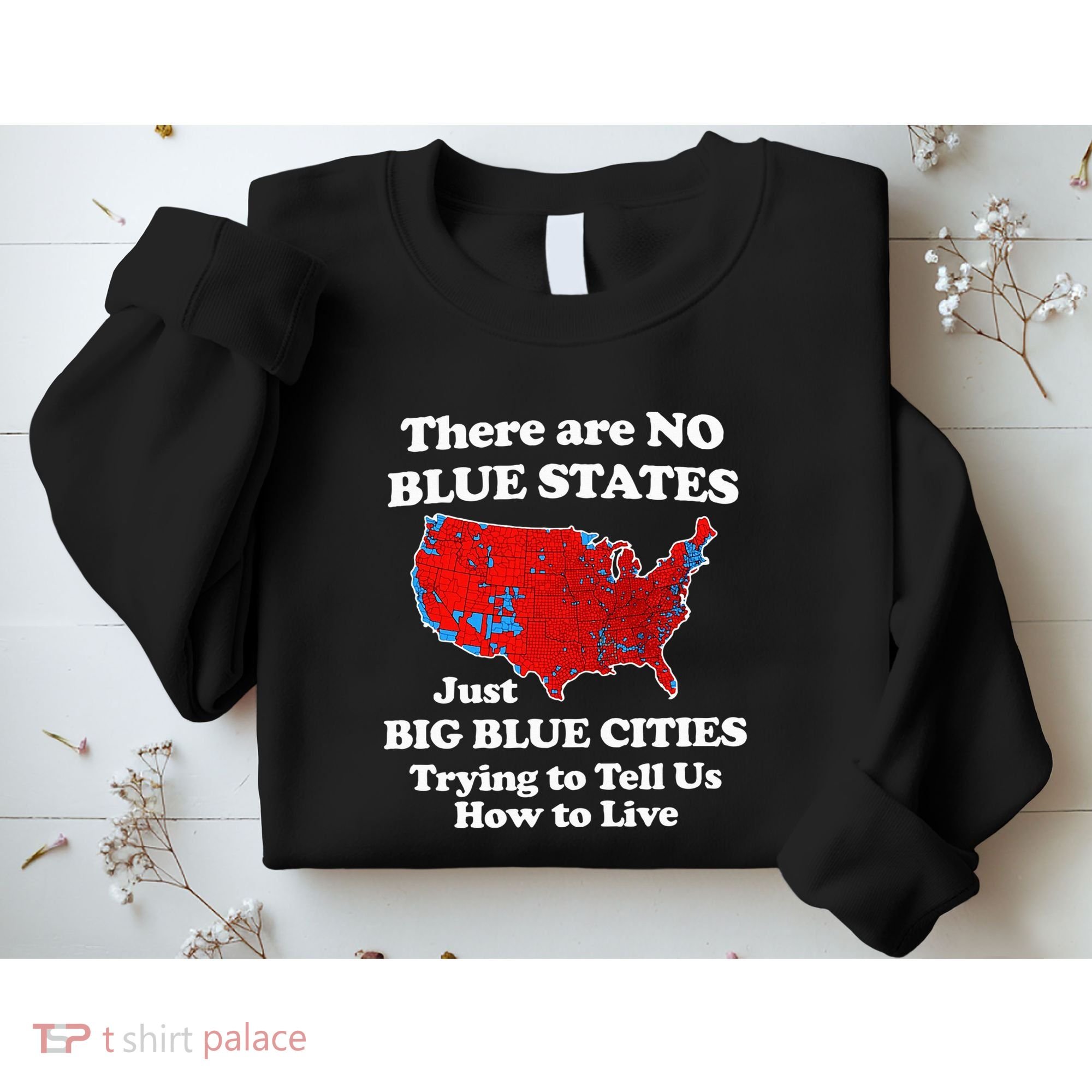 There Are No Blue States Only Big Blue Cities Sweatshirt