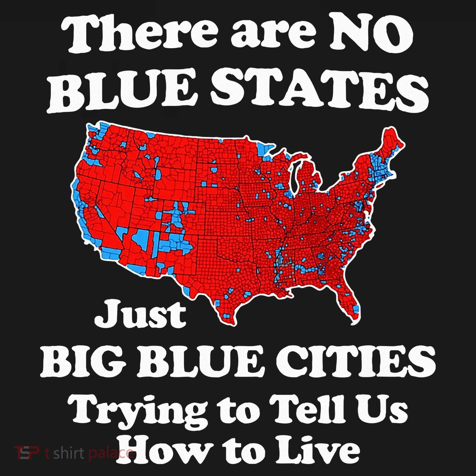 There Are No Blue States Only Big Blue Cities T-Shirt