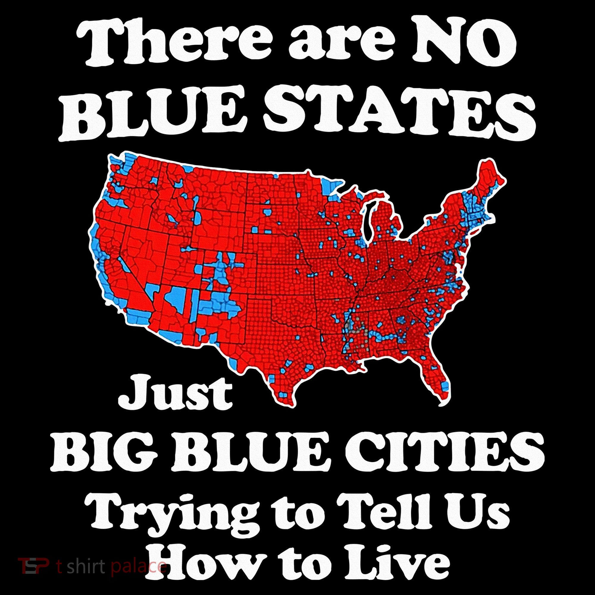 There Are No Blue States Only Big Blue Cities Women's Hoodie