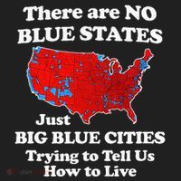 There Are No Blue States Only Big Blue Cities Crop Fleece Hoodie thumb 2