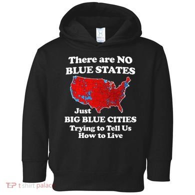 There Are No Blue States Only Big Blue Cities Toddler Hoodie