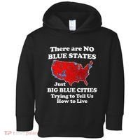 There Are No Blue States Only Big Blue Cities Toddler Hoodie thumb 0