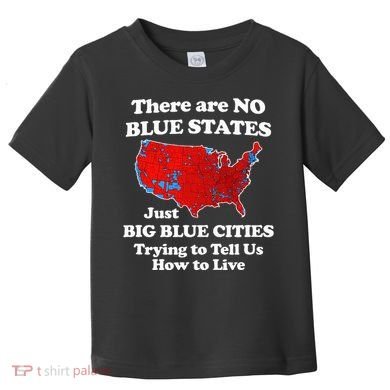 There Are No Blue States Only Big Blue Cities Toddler T-Shirt