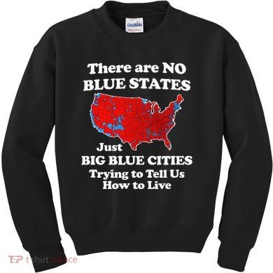 There Are No Blue States Only Big Blue Cities Kids Sweatshirt