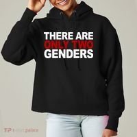 There Are Only Two Genders Ladies Heavyweight Boxy Pullover Hoodie thumb 0