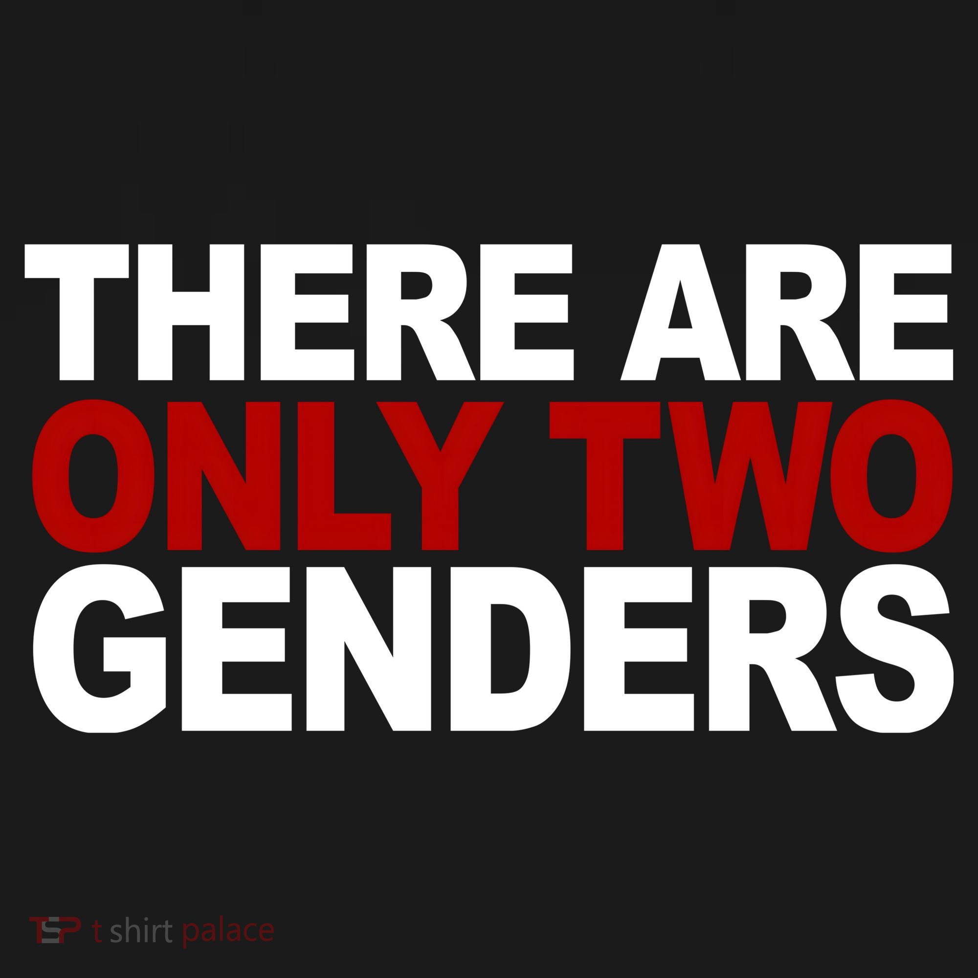 There Are Only Two Genders Tall Sweatshirt