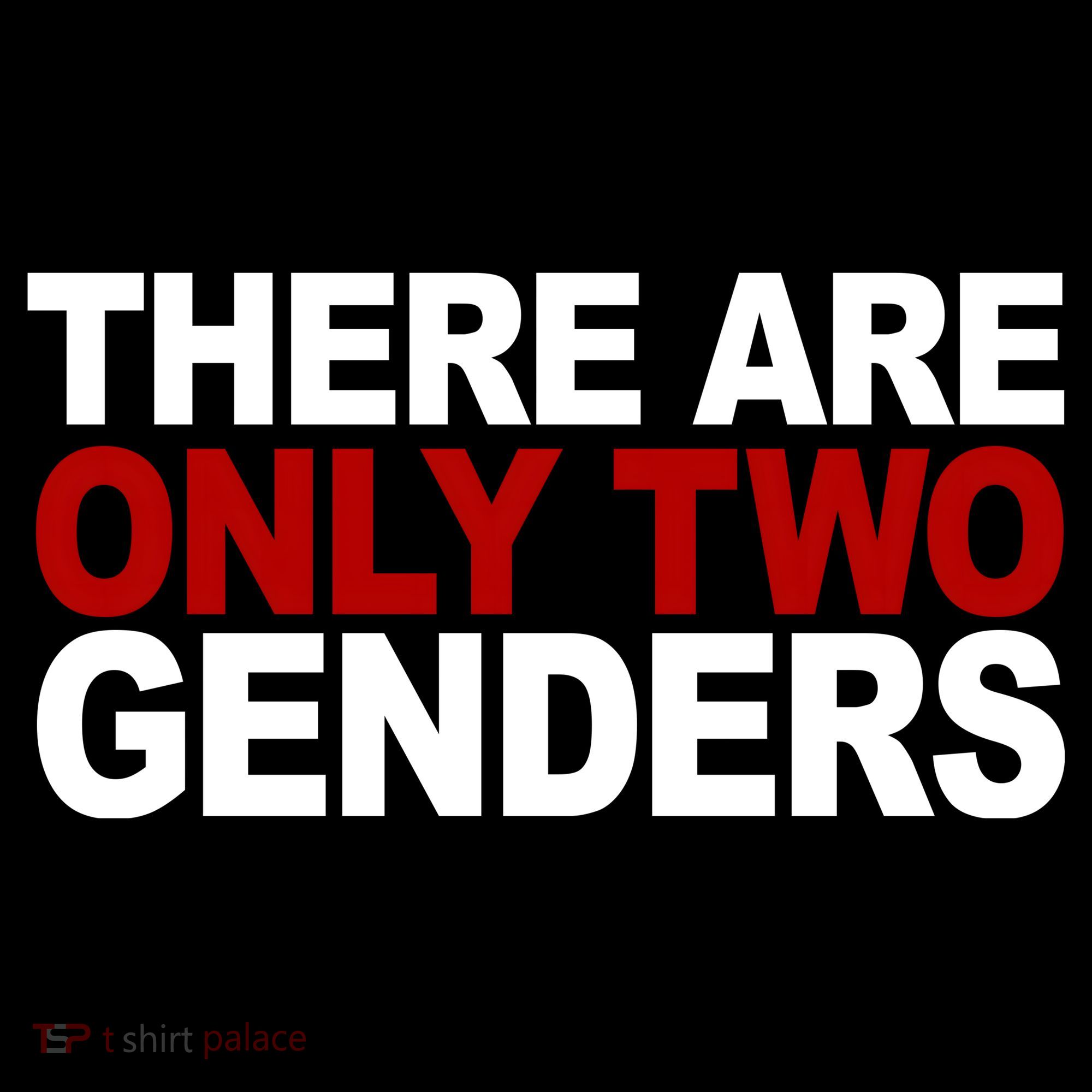 There Are Only Two Genders Pom Pom 12in Knit Beanie