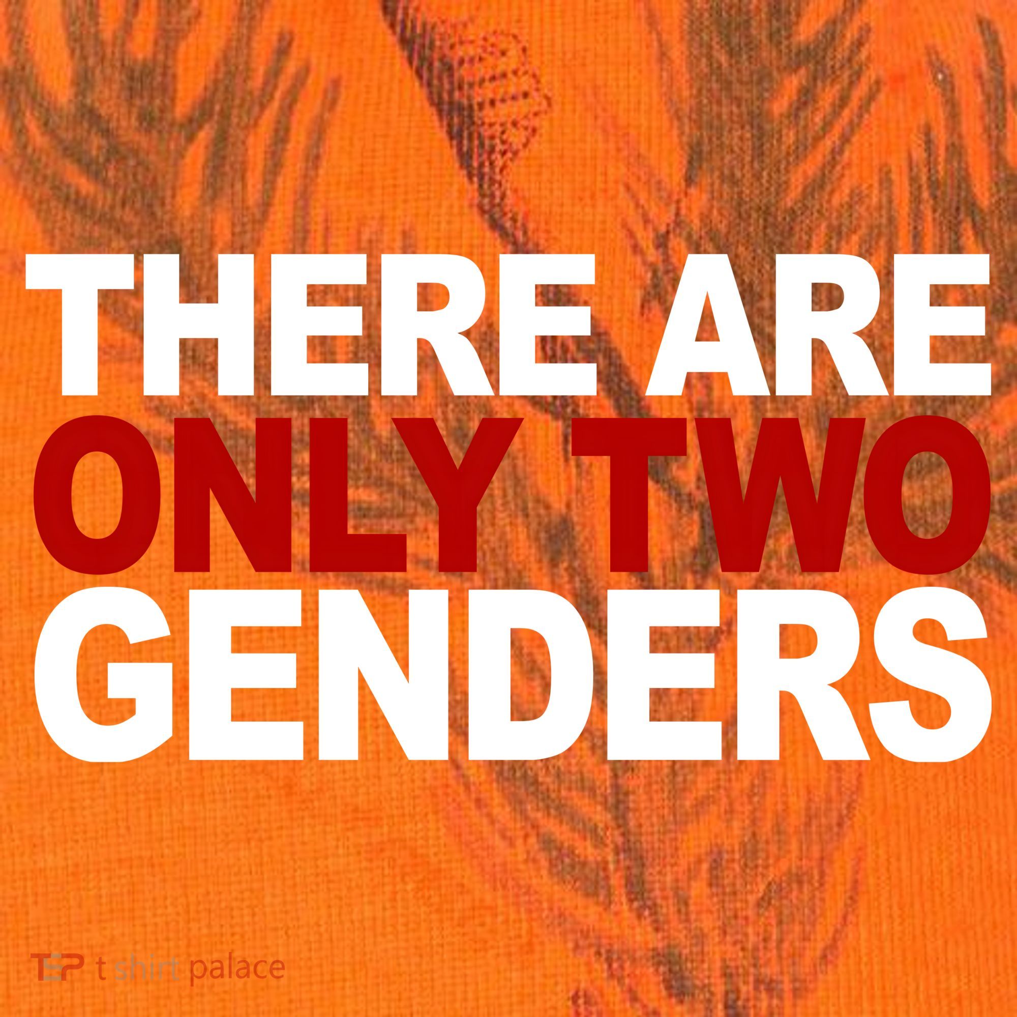 There Are Only Two Genders Kati Licensed 12" Camo Cuffed Beanie