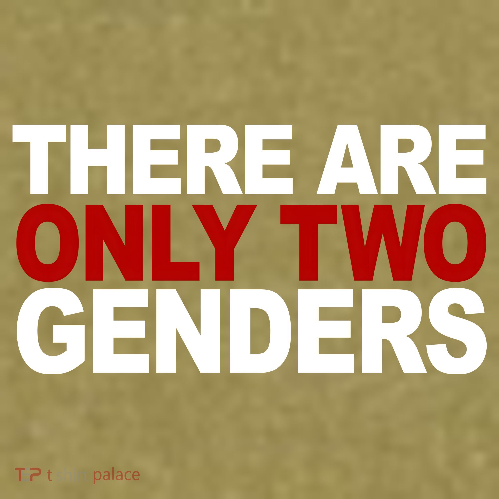 There Are Only Two Genders Garment-Dyed Women's Muscle Tee