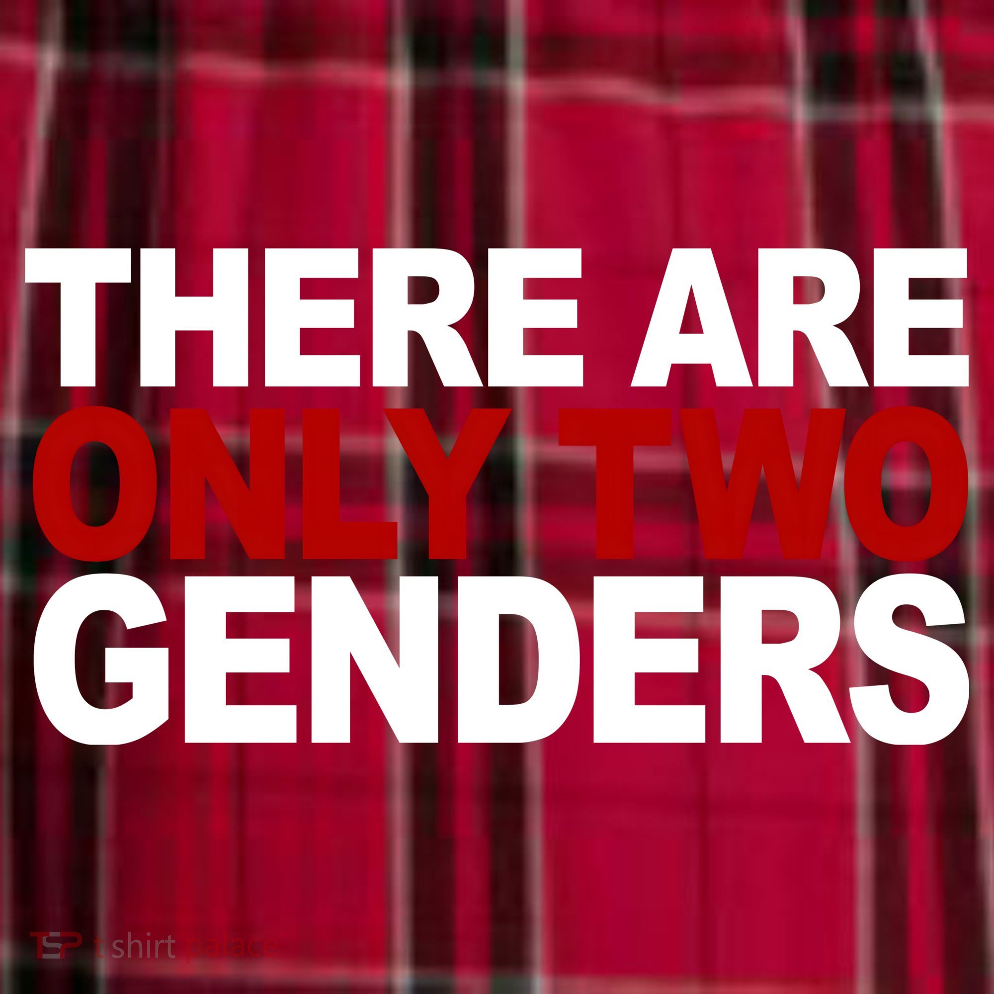 There Are Only Two Genders Women's Flannel Plaid Pajama Pants