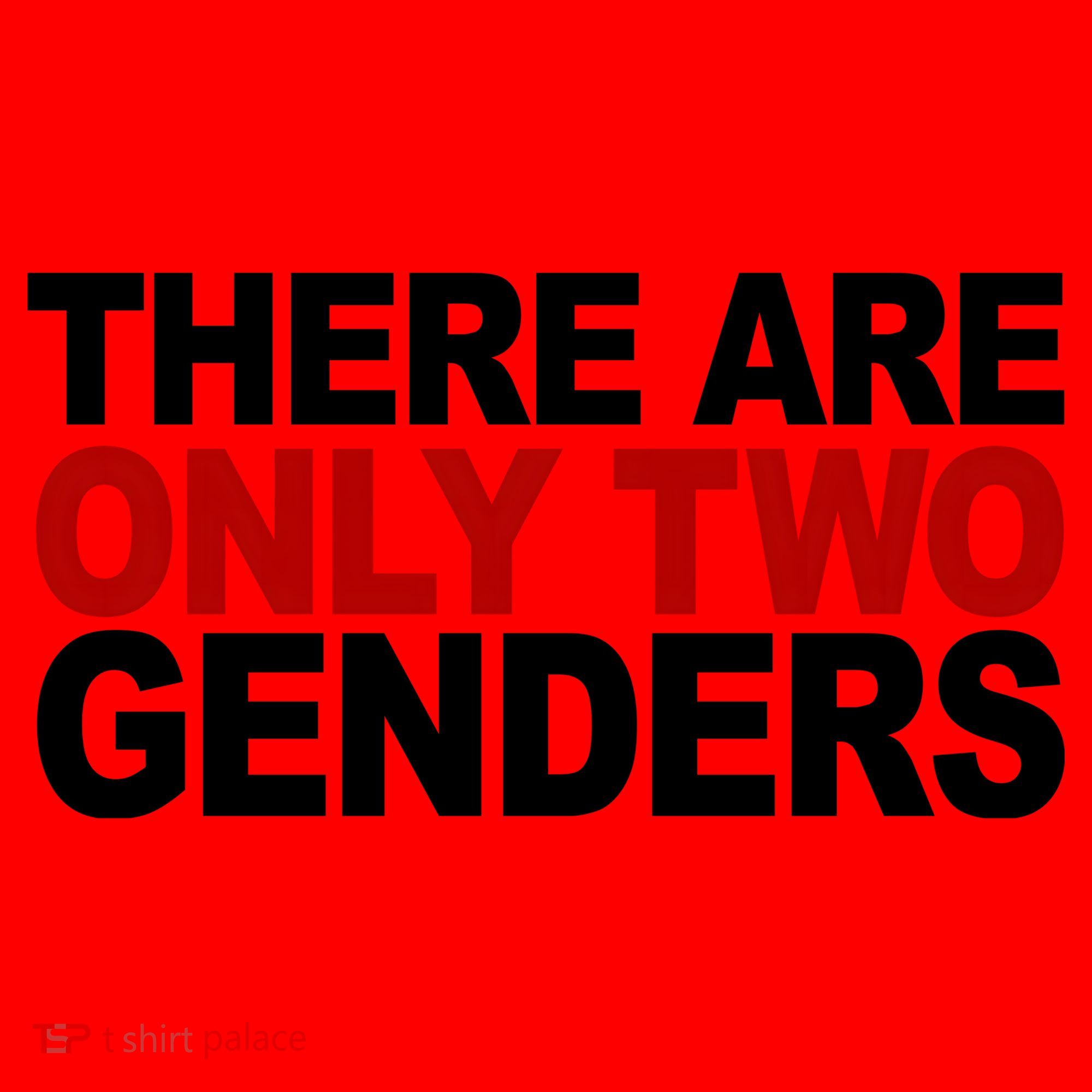 There Are Only Two Genders Santa Hat