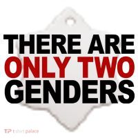 There Are Only Two Genders Ceramic Ornament thumb 2