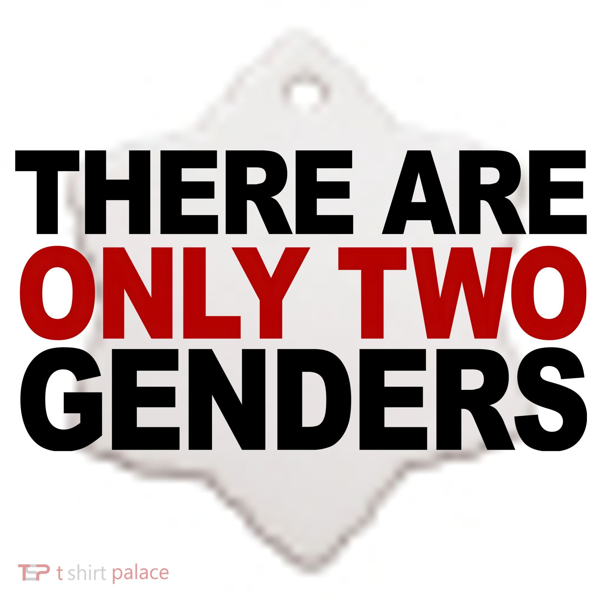 There Are Only Two Genders Ceramic Ornament