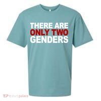 There Are Only Two Genders Sueded Cloud Jersey T-Shirt thumb 0