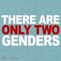 There Are Only Two Genders Sueded Cloud Jersey T-Shirt thumb 2