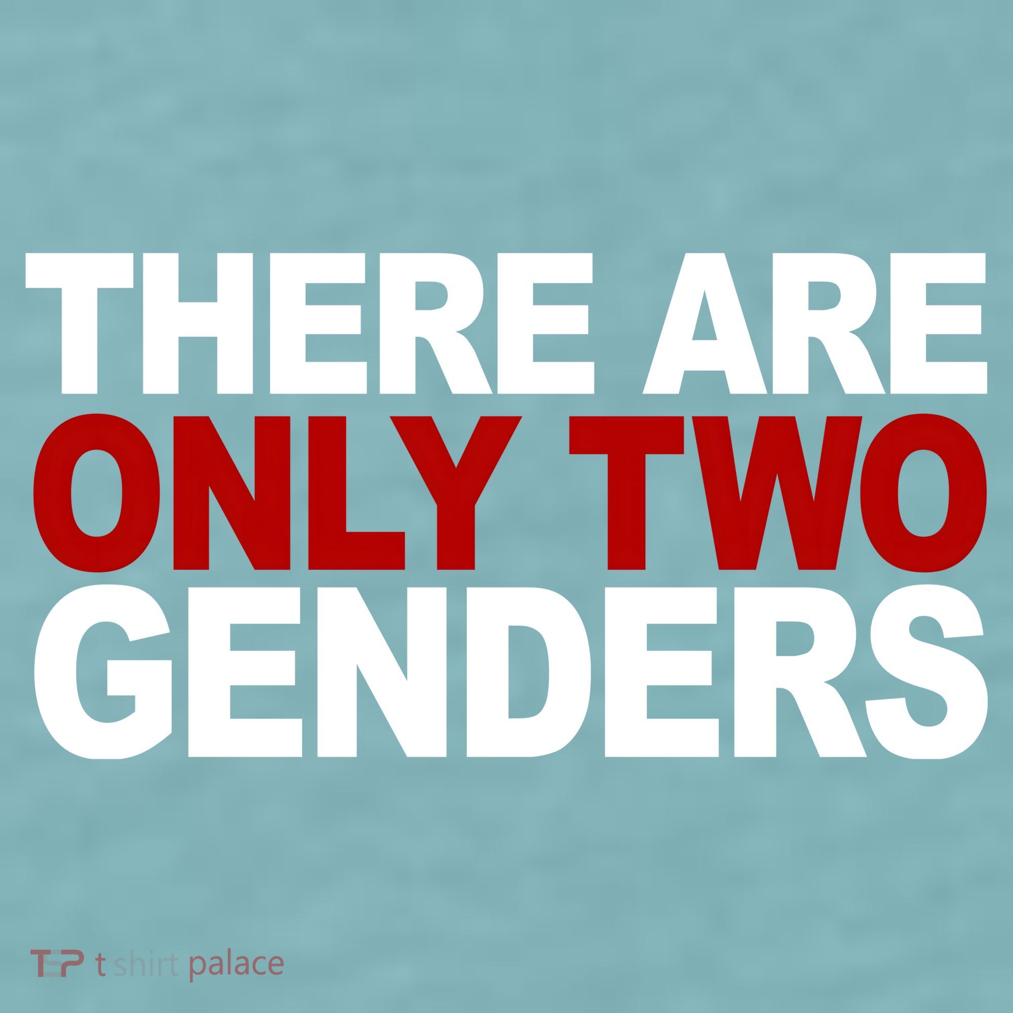 There Are Only Two Genders Sueded Cloud Jersey T-Shirt