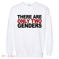 There Are Only Two Genders Garment-Dyed Sweatshirt thumb 0
