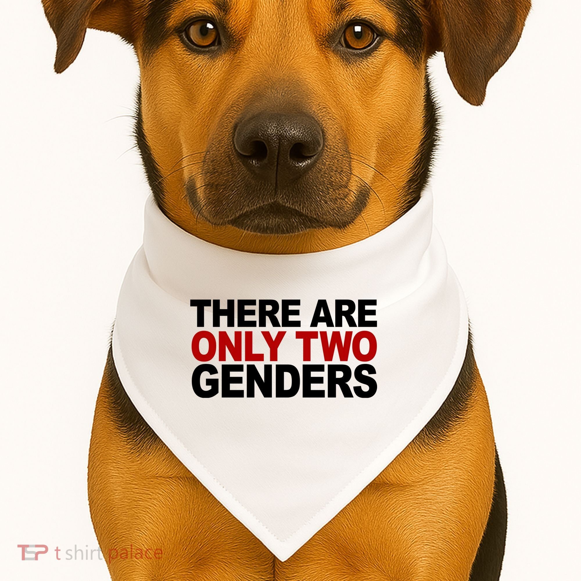 There Are Only Two Genders USA-Made Doggie Bandana