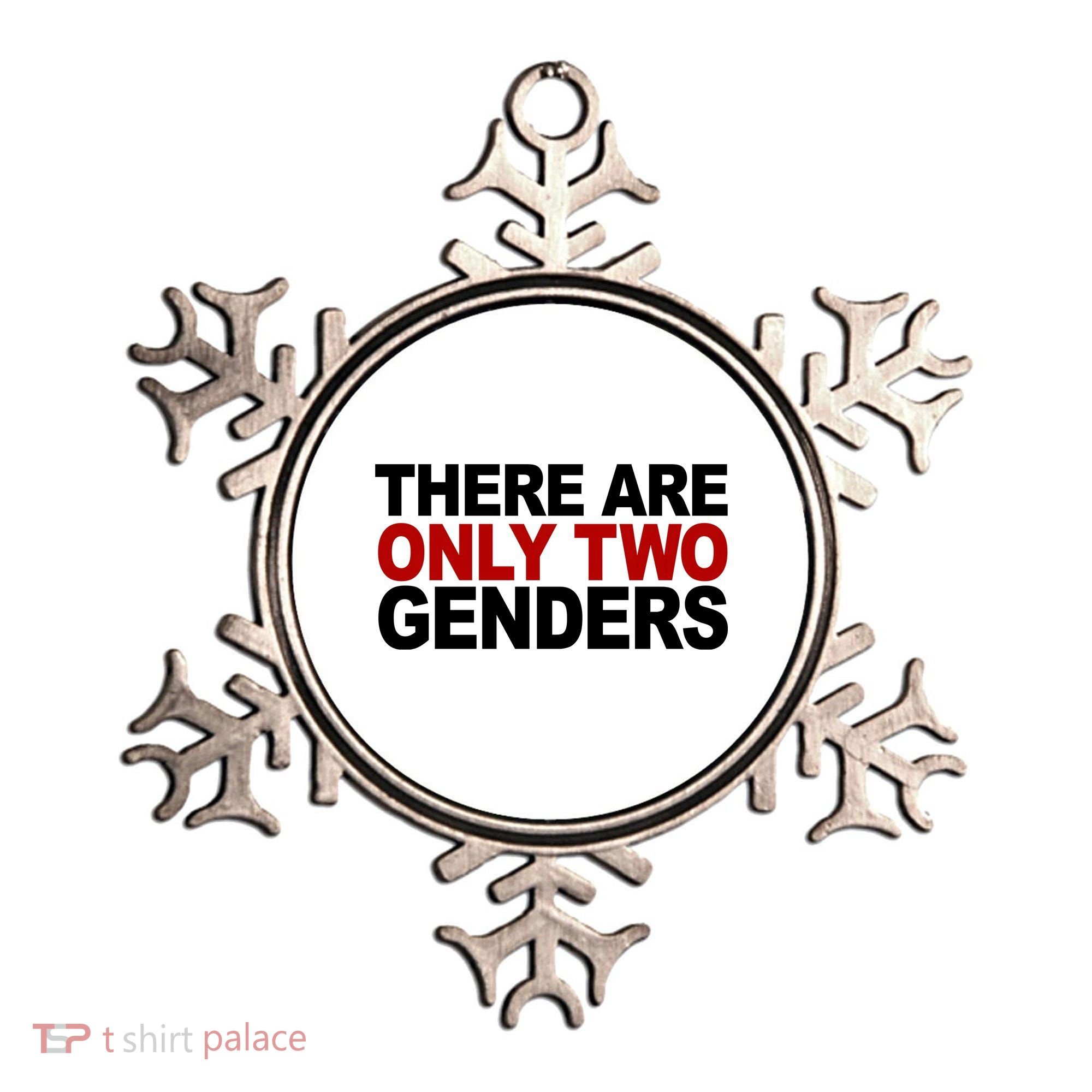 There Are Only Two Genders Ornament