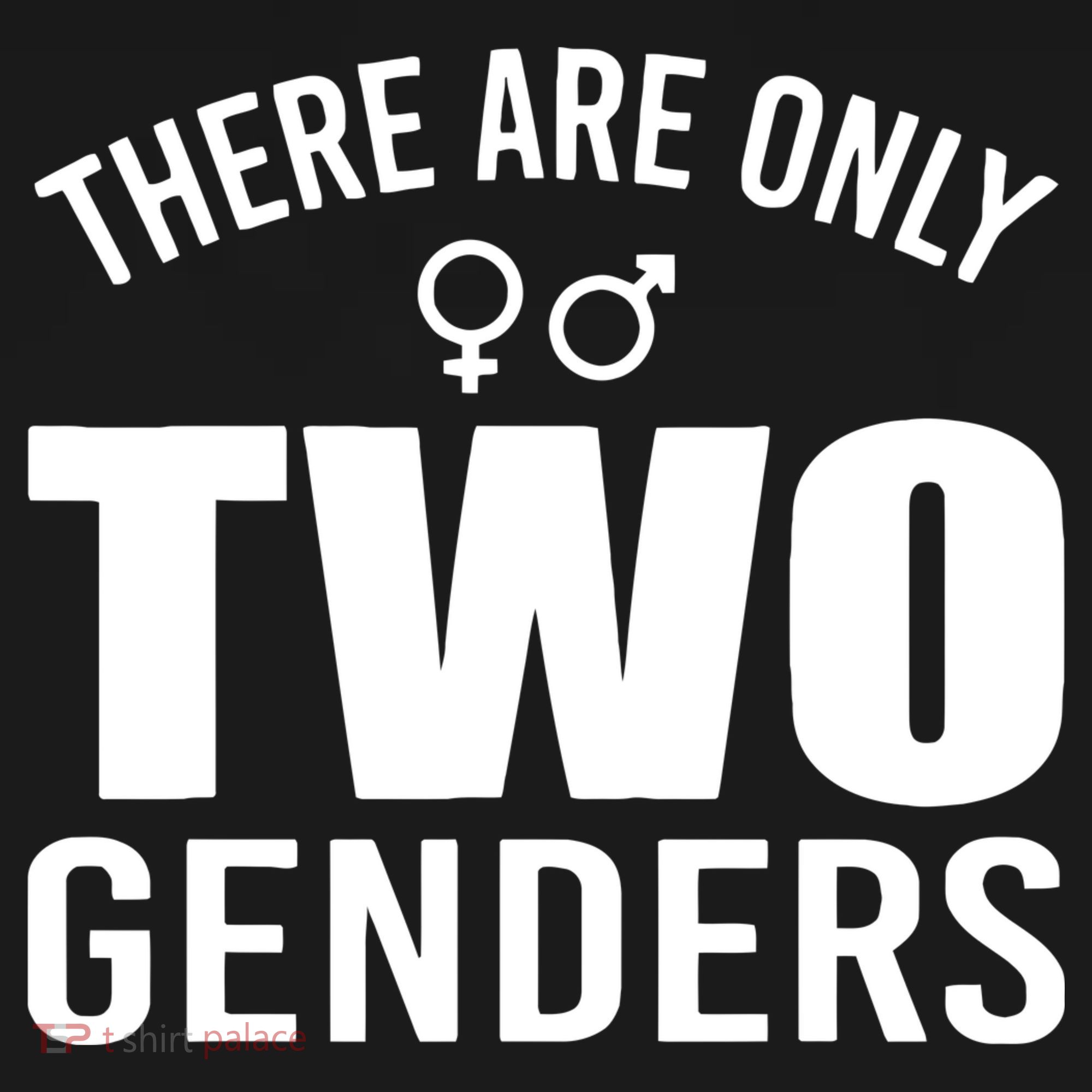 There Are Only Two Genders Gender Tall Long Sleeve Shirt