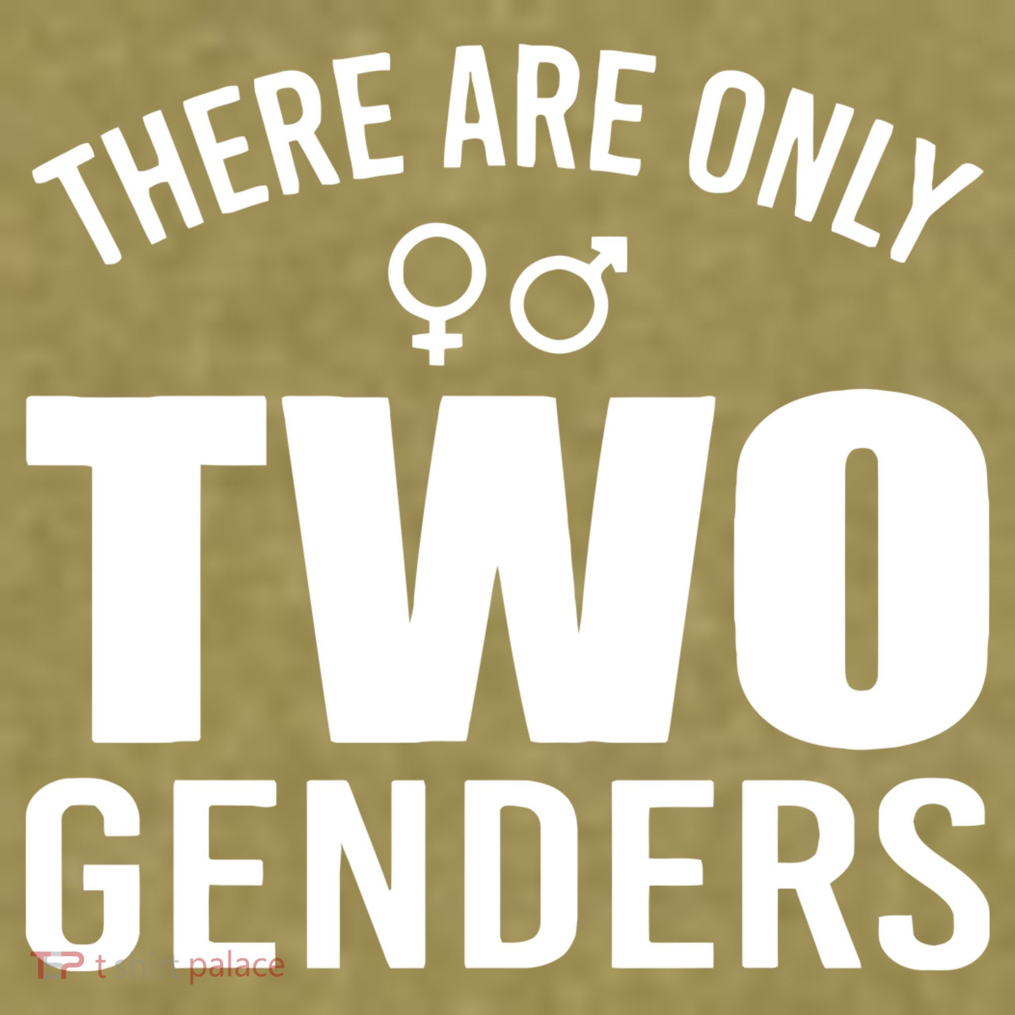 There Are Only Two Genders Gender Garment-Dyed Women's Muscle Tee