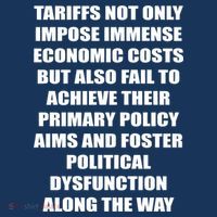 Tariffs Foster Political Dysfunction Hoodie thumb 7